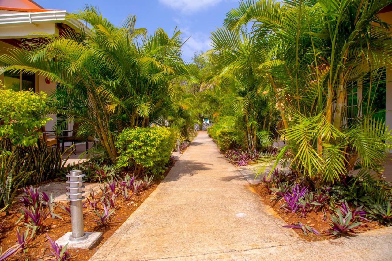 Solare Sai Ecohotel (Adults Only) San Andrés Exteriér fotografie